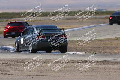 media/Oct-04-2025-OnGrid (Sat) [[44bd565ffa]]/Pink Group/Grapevine/